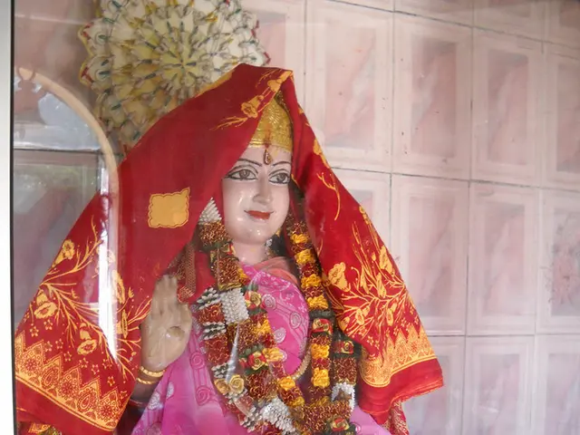 Online Gaming: Play High Stakes Slots for No Cost and Real Cash